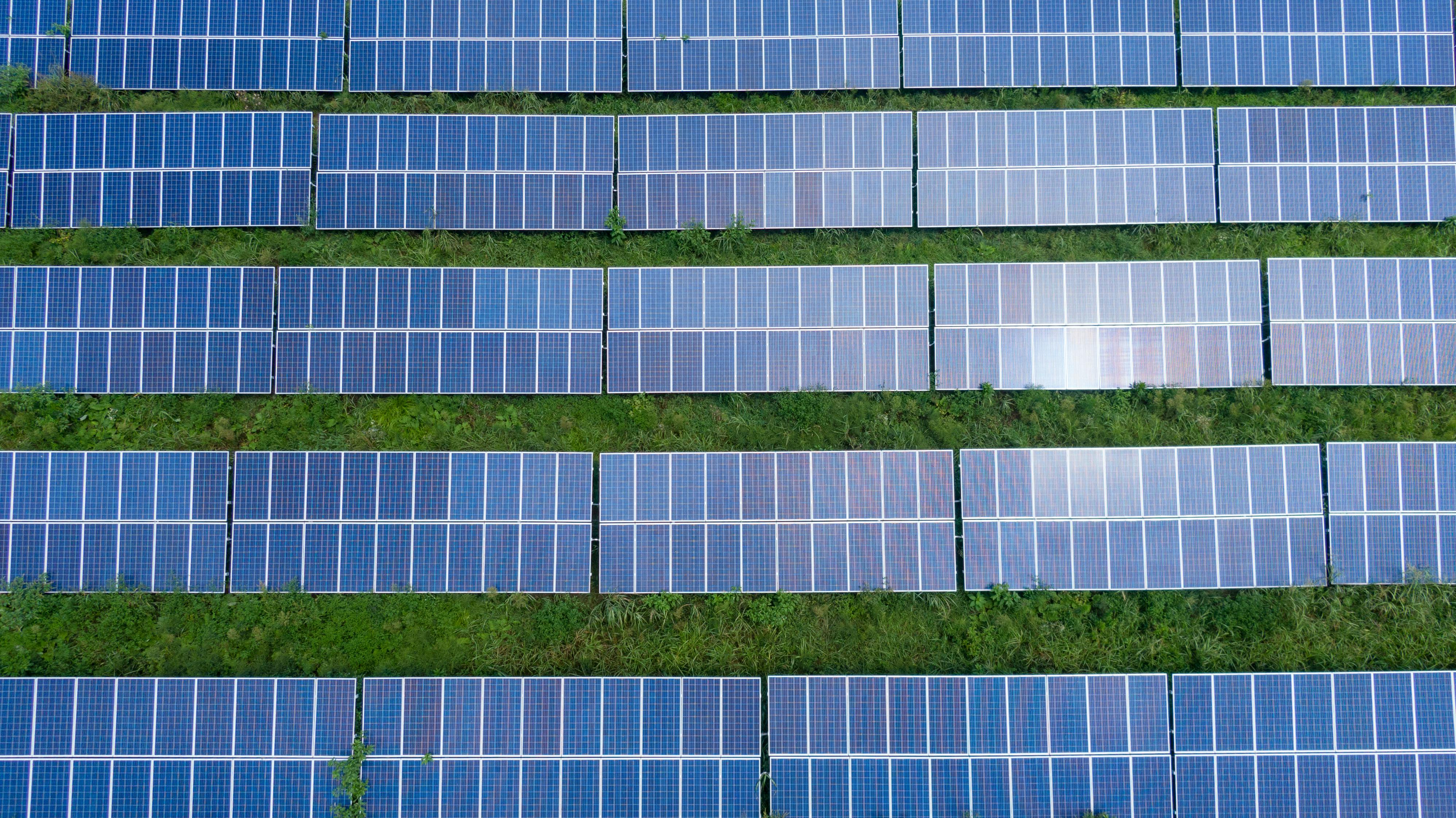 Happy solar customer